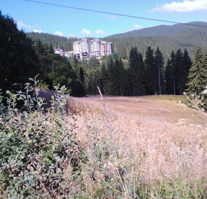 Photo 4 — Plot in Oblast Smolyan, Pamporovo