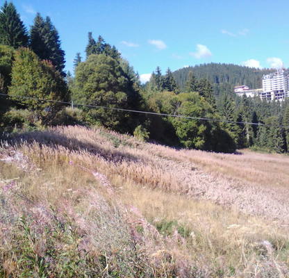 Photo 5 — Plot in Oblast Smolyan, Pamporovo