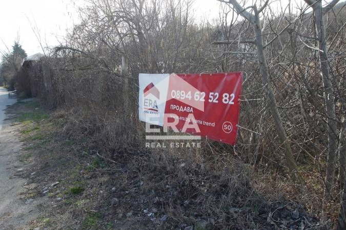 Plot in Zlatni Pyasyci