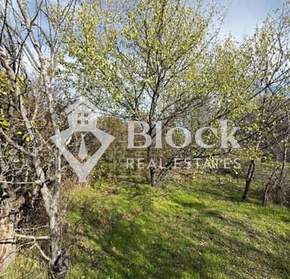 Photo 3 — Plot in област София, Kostinbrod