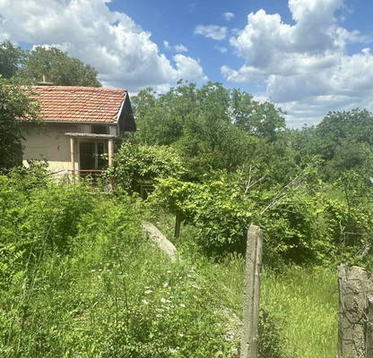 Photo 2 — Plot in Kyrdjali, Prilepci
