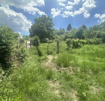 Photo 4 — Plot in Kyrdjali, Prilepci