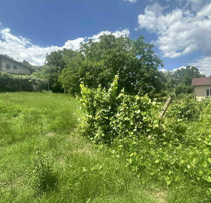 Photo 5 — Plot in Kyrdjali, Prilepci
