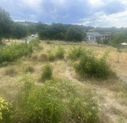 Photo 4 — Plot in Kyrdjali, Veselchane