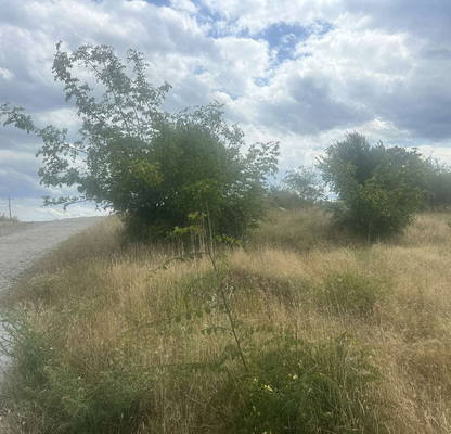 Photo 5 — Plot in Kyrdjali, Veselchane