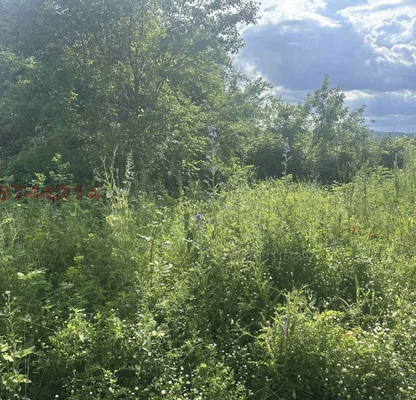 Photo 4 — Plot in Kyrdjali, Veselchane