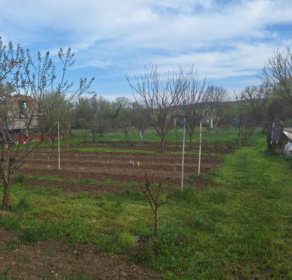 Photo 5 — Plot in Lovech, Prodimchec