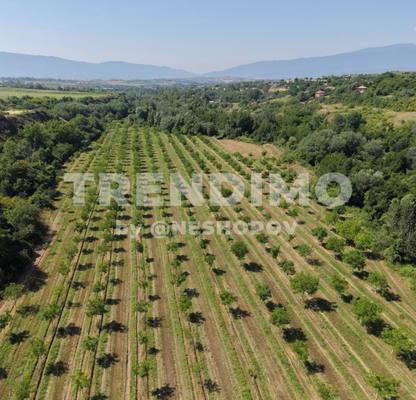 Photo 3 — Plot in Oblast Blagoevgrad, Melnik