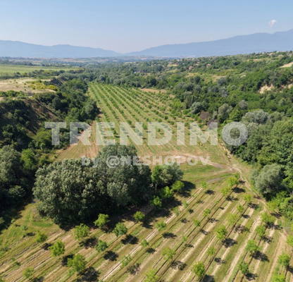 Photo 4 — Plot in Oblast Blagoevgrad, Melnik