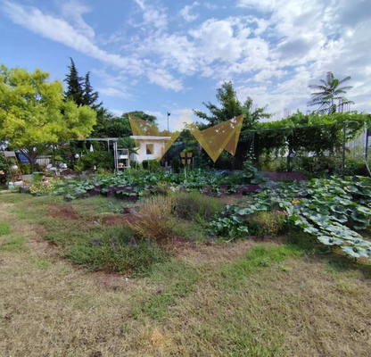 Photo 5 — Plot in Oblast Burgas, Nesebyr