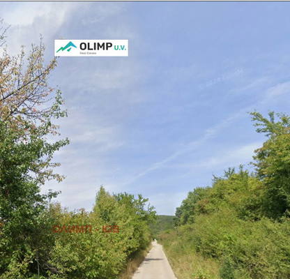 Photo 4 — Plot in Novi Iskyr