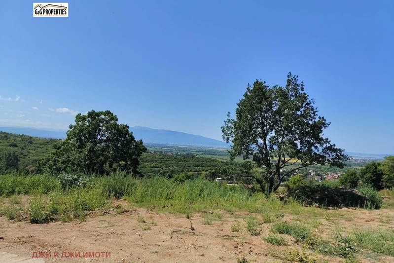 Plot in Novi Iskyr
