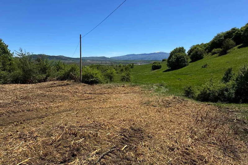 Plot in Pernik, Радина чешма