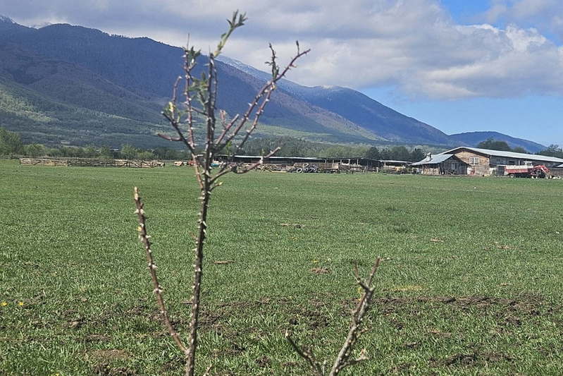 Парцел в Благоевград, Разлог