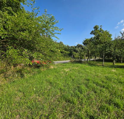 Photo 4 — Plot in Oblast Lovech, Balkanec