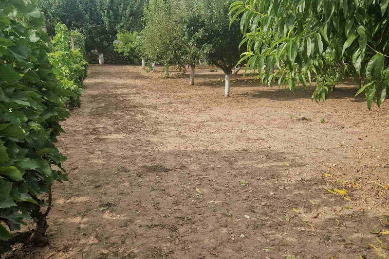 Plot in Oblast Ruse, Basarbovo