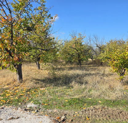 Photo 4 — Plot in Oblast Plovdiv, Belashtica
