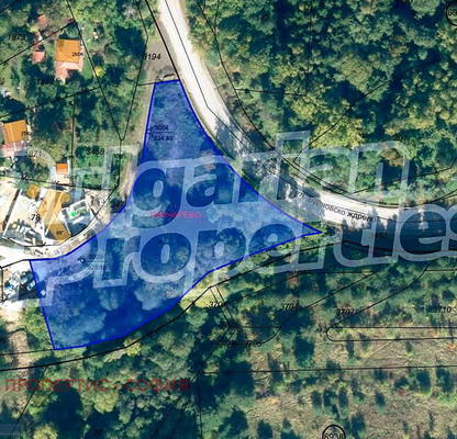 Photo 5 — Plot in Bistrica