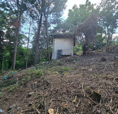 Photo 4 — Plot in Bistrica