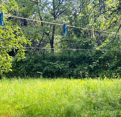 Photo 3 — Plot in Bistrica