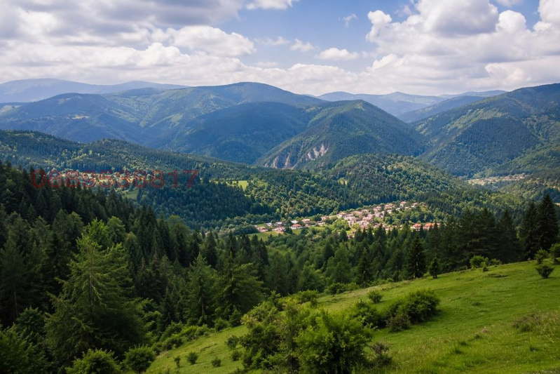 Plot in Oblast Smolyan, Bosilkovo