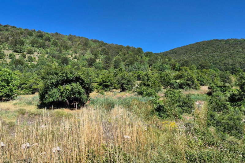 Plot in Oblast Pernik, Bosnek