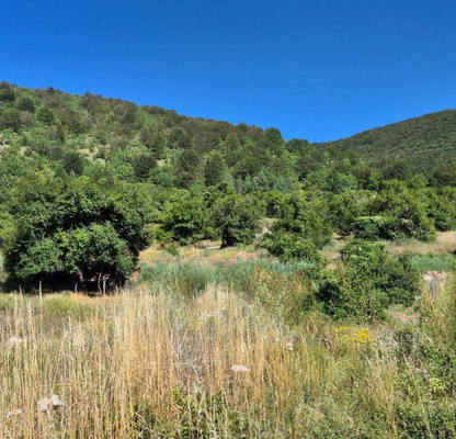 Photo 3 — Plot in Oblast Pernik, Bosnek