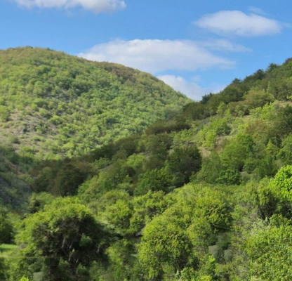 Photo 4 — Plot in Oblast Pernik, Bosnek