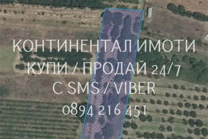 Plot in Oblast Plovdiv, Branipole