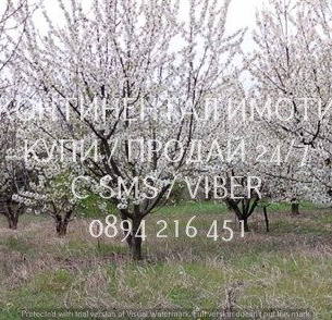 Снимка 5 — Парцел в Пловдив, с. Браниполе