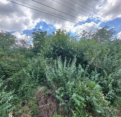 Photo 2 — Plot in Oblast Lovech, Brestnica