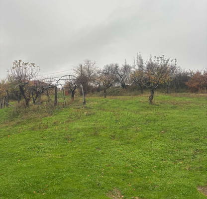 Photo 5 — Plot in Oblast Blagoevgrad, с. Бучино