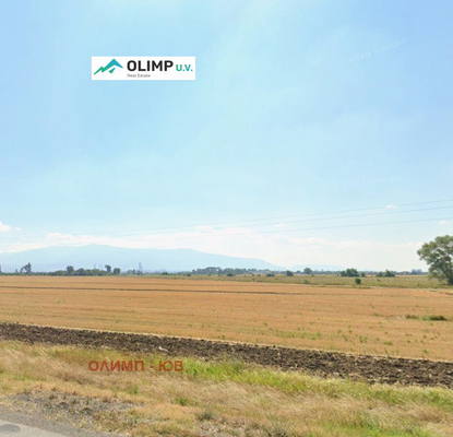 Photo 4 — Plot in Busmanci