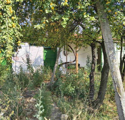 Photo 5 — Plot in Oblast Plovdiv, Calapica