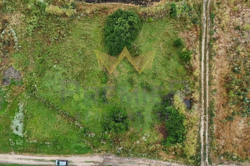 Plot in Oblast Dobrich, Carichino