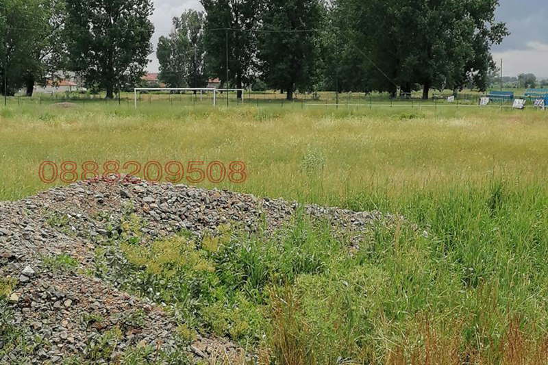 Plot in Chepinci
