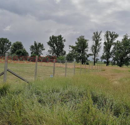 Photo 4 — Plot in Chepinci