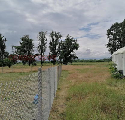 Photo 5 — Plot in Chepinci