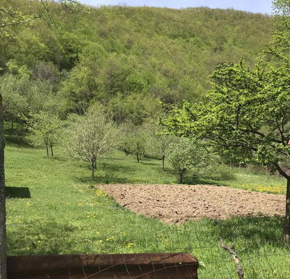 Photo 3 — Plot in Oblast Lovech, Cherni Vit