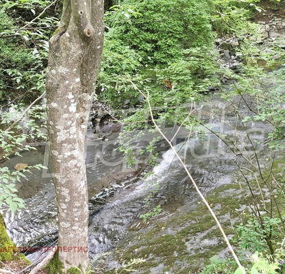 Photo 4 — Plot in Oblast Lovech, Chiflik