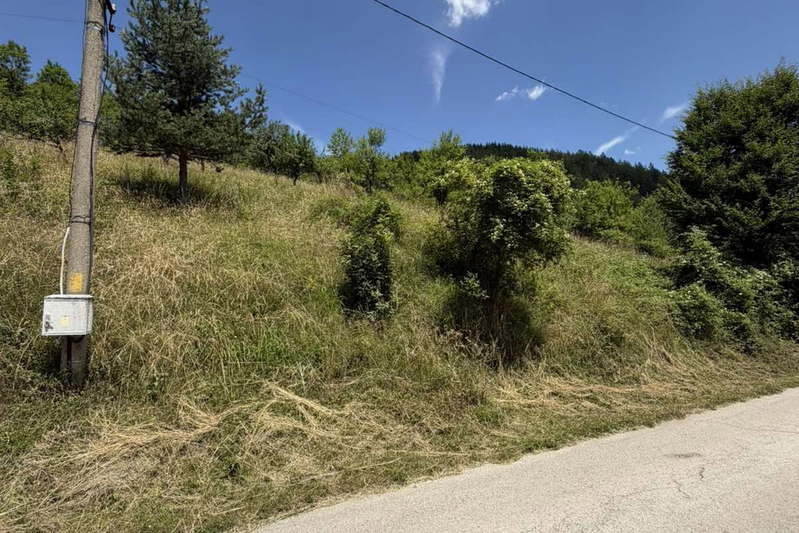 Plot in Oblast Lovech, Chiflik