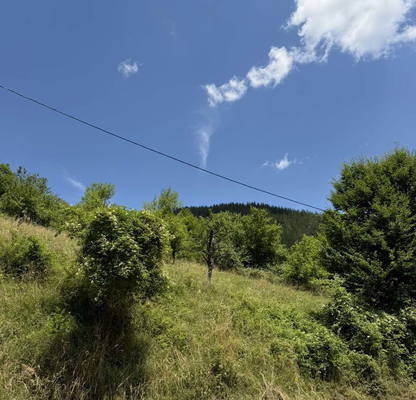 Photo 4 — Plot in Oblast Lovech, Chiflik