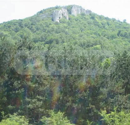Photo 4 — Plot in Oblast Varna, Debelec