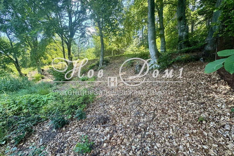 Plot in Plovdiv, s. Dedevo