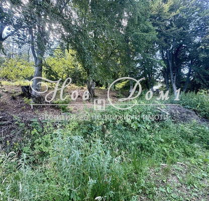 Снимка 4 — Парцел в Пловдив, с. Дедево