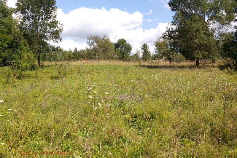Plot in Oblast Yambol, Dennica