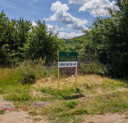 Снимка 3 — Парцел в Перник, с. Дивотино