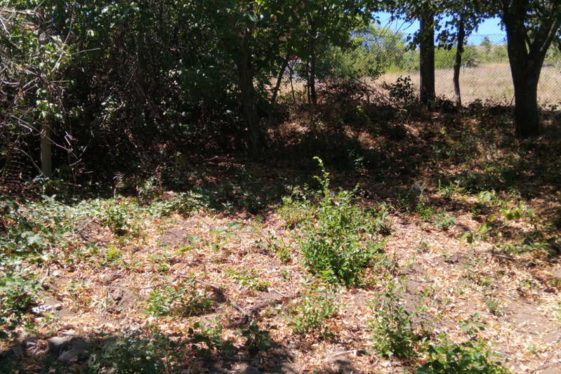 Plot in Oblast Pernik, Dolna Dikanya