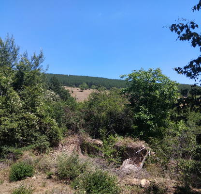 Снимка 4 — Парцел в Перник, с. Долна Диканя
