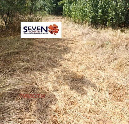 Photo 5 — Plot in Oblast Pernik, Dolna Dikanya
